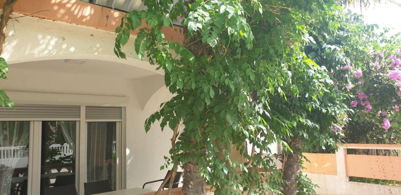 Apartments Kore Vir Dış mekan fotoğraf